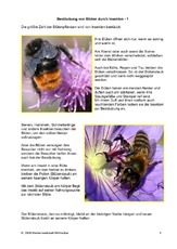 Bestaeubung-von-Blueten-durch-Insekten-1.pdf
